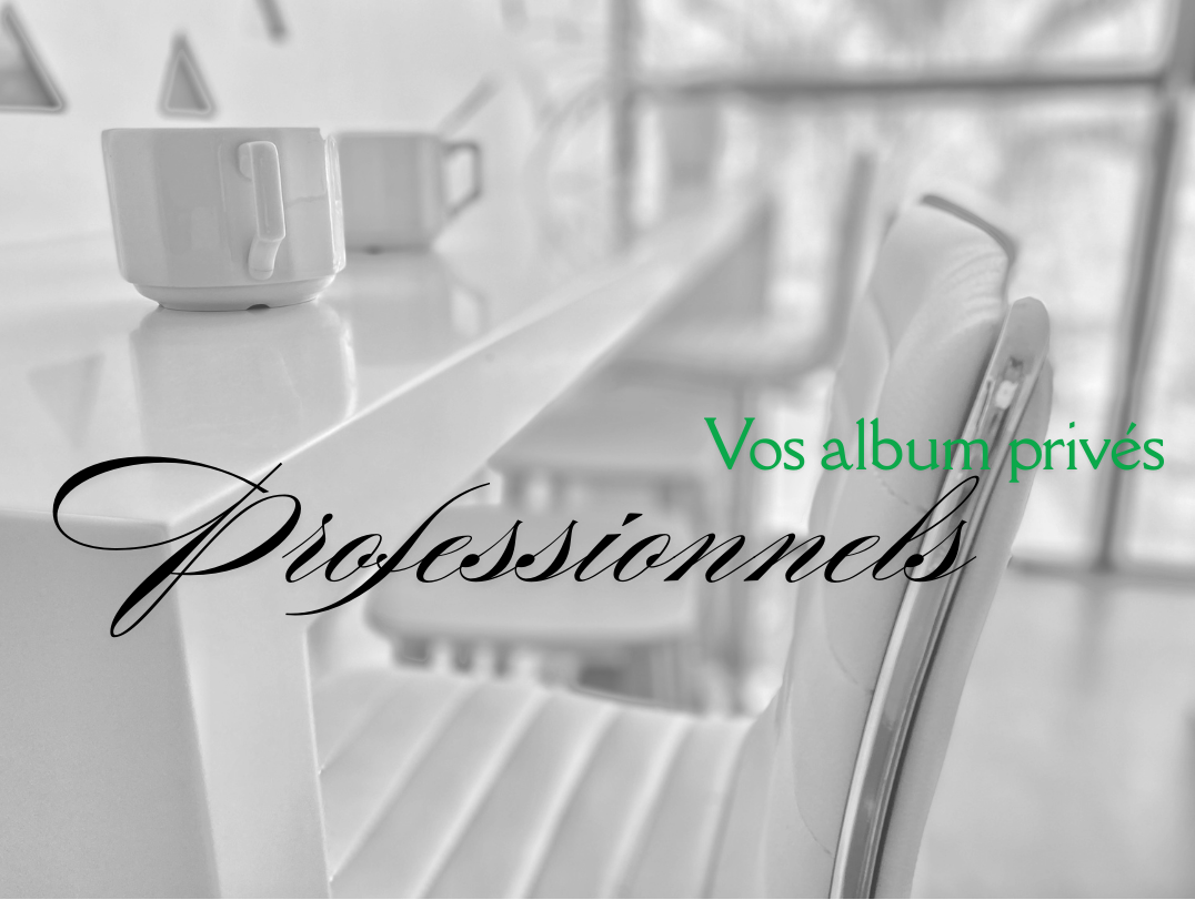 Vos albums privés professionnels